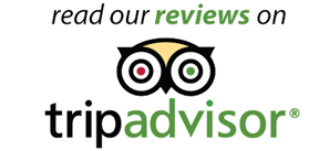 trip-advisor logo