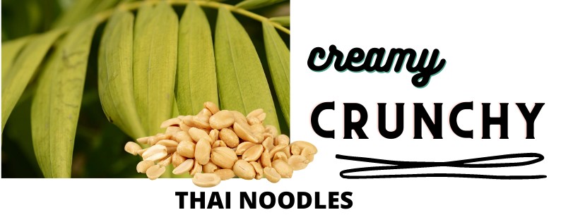 Thai Creamy Crunchy Noodles Recipe Illustration